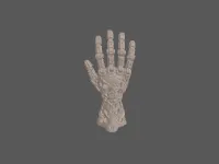 model file image