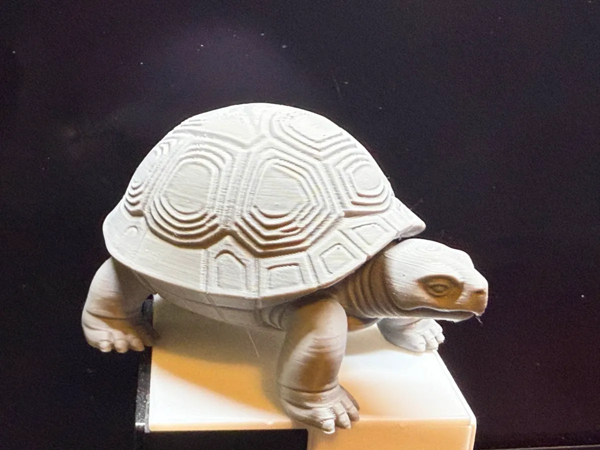 Desert Tortoise 🐢 - Unkonw# | Nexprint: Free 3D Model Downloads
