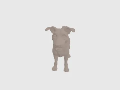 model file image