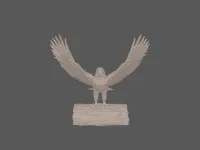 model file image