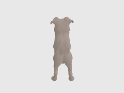 model file image