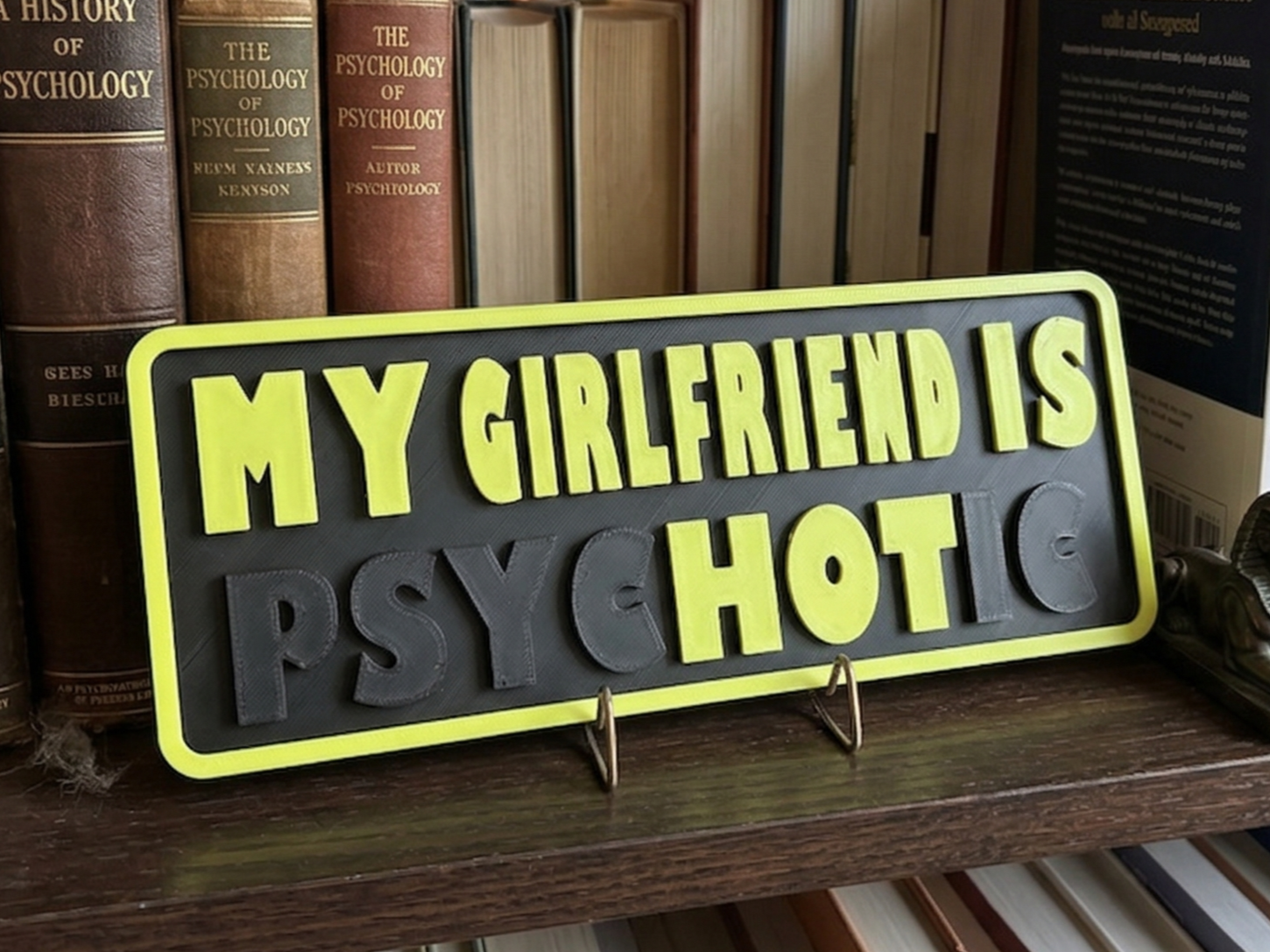 Psycho Sign My Girlfriend is HOT /PSYCHOTIC Dual Meaning Prank - BlackMarketier ...