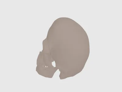 model file image