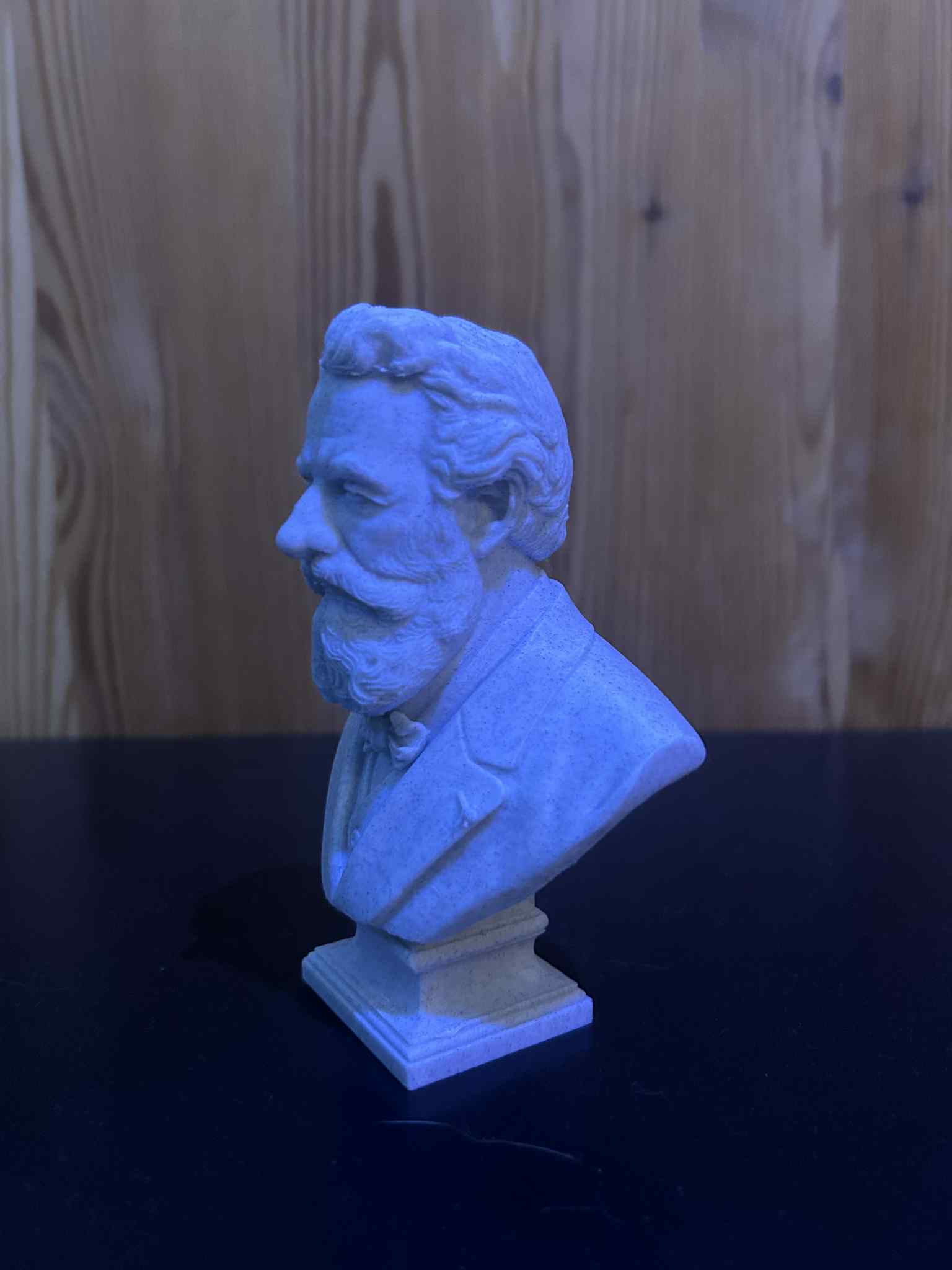 Jules Gabriel Verne — Buste - NextPrint 3D Model | 3Drop