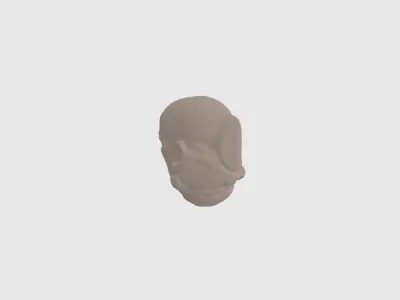 model file image