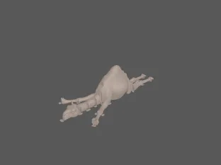 model file image