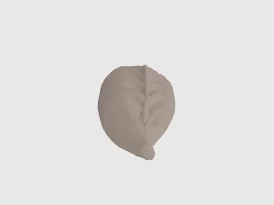 model file image
