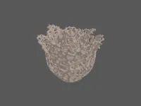 model file image