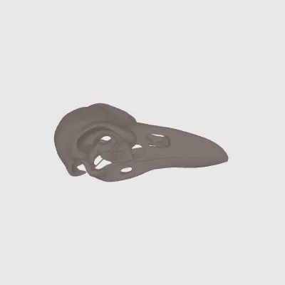 model file image