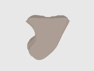 model file image