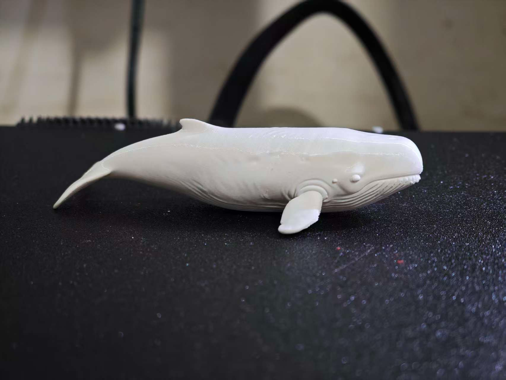 抹香鲸- NextPrint 3D Model | 3Drop