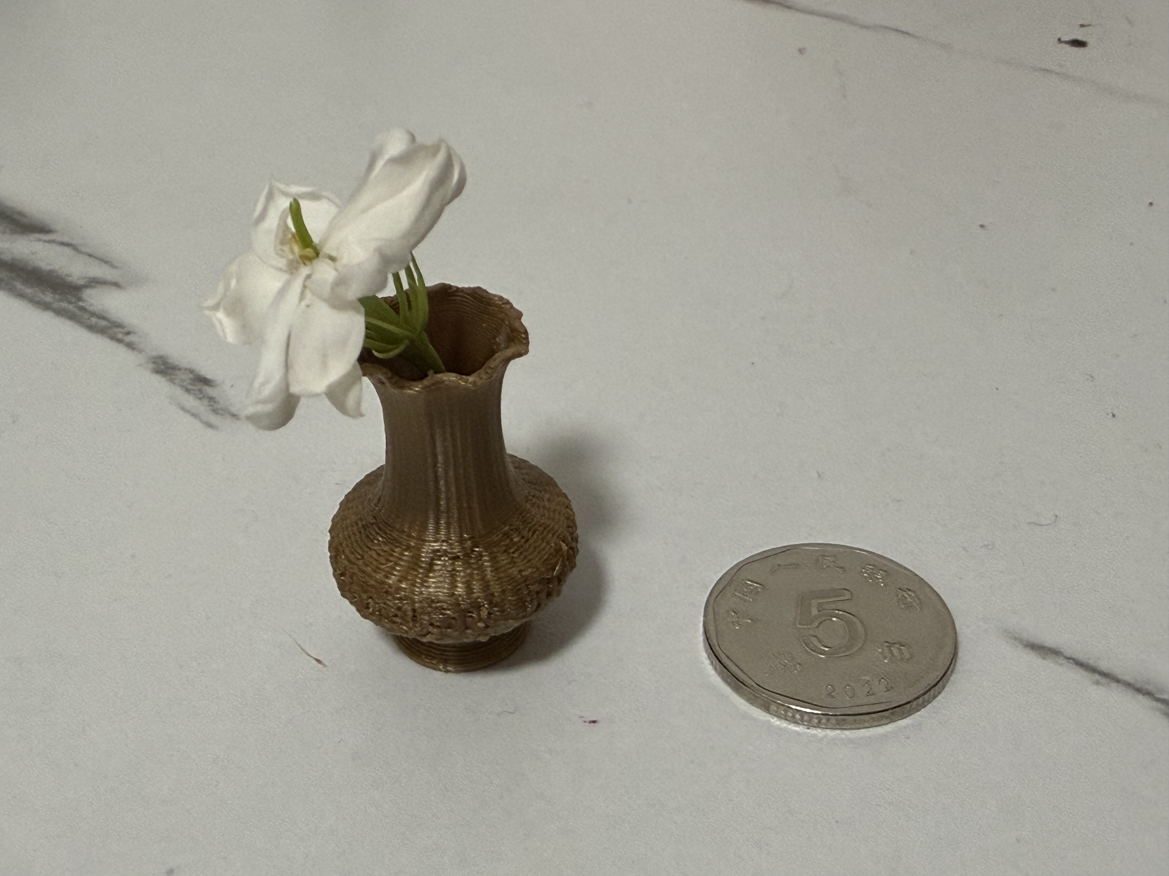 5毛硬币大小的微缩花瓶- NextPrint 3D Model | 3Drop