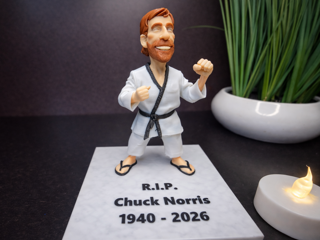 Memorial Chuck Norris - Tribute 3D Print Figure RIP - ParadoxH ...