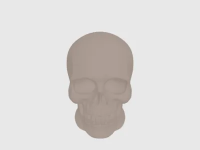 model file image