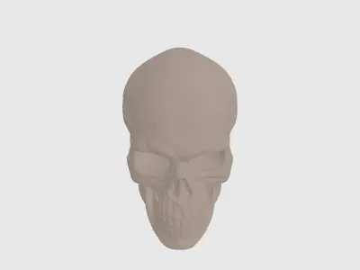 model file image