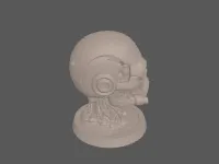 model file image