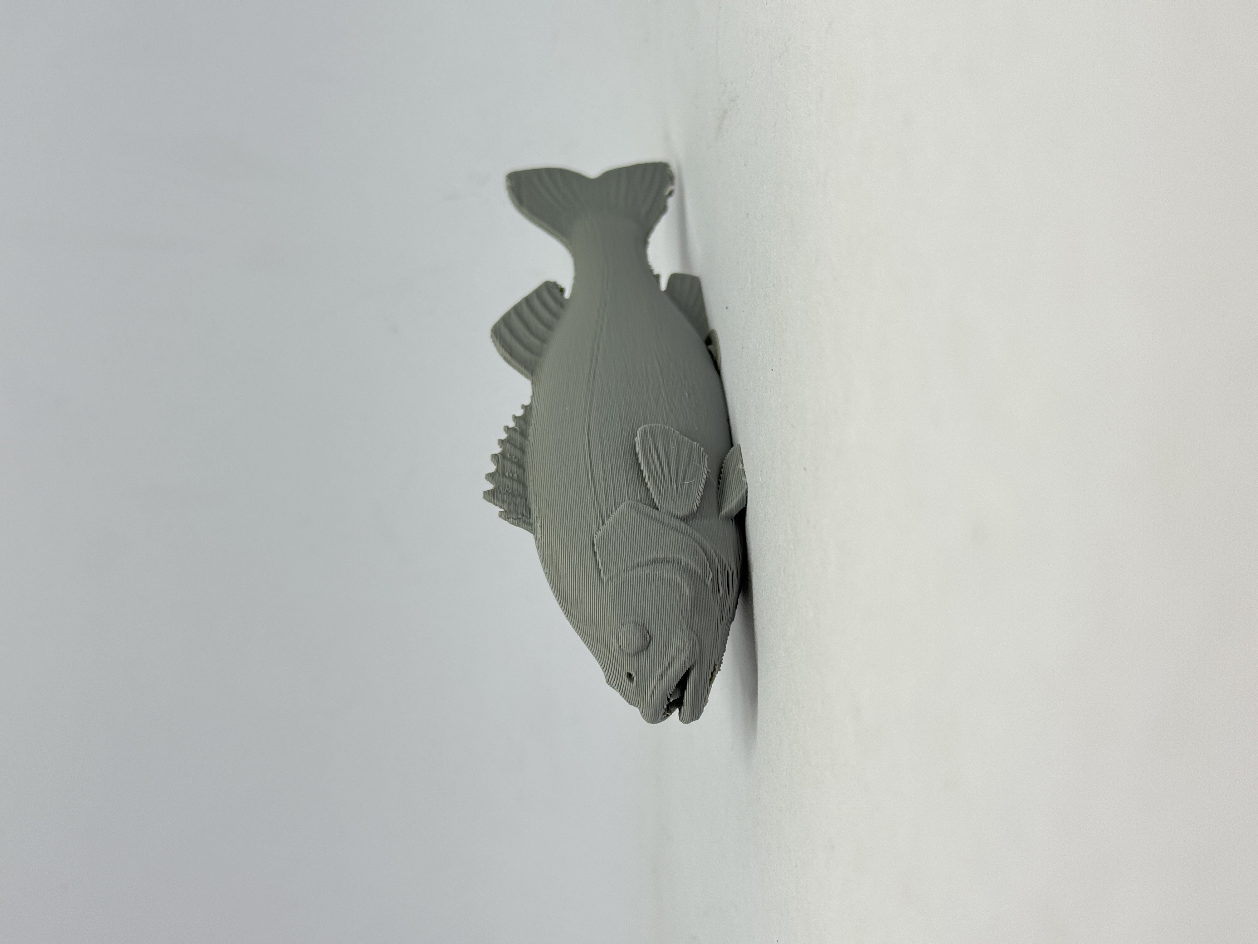 鲈鱼假饵制作- NextPrint 3D Model | 3Drop