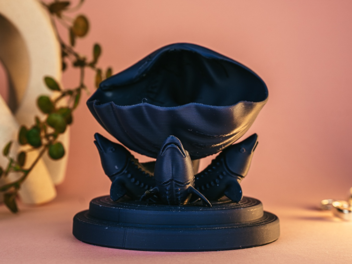 conch shell - IRENA 3D | Nexprint: Free 3D Model Downloads