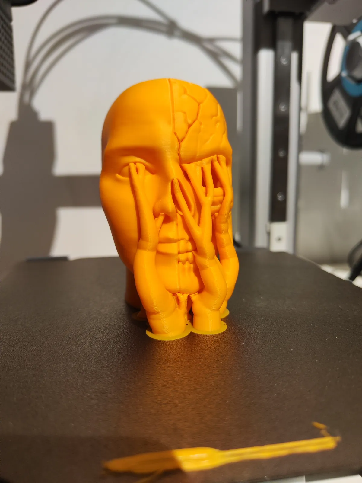 Half Life Skull - GJX3D | Nexprint: Free 3D Model Downloads