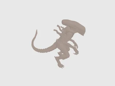 model file image