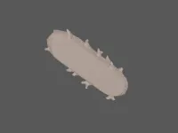 model file image