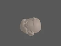 model file image