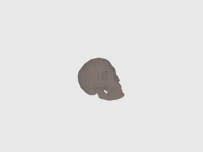 model file image