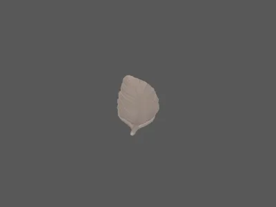 model file image