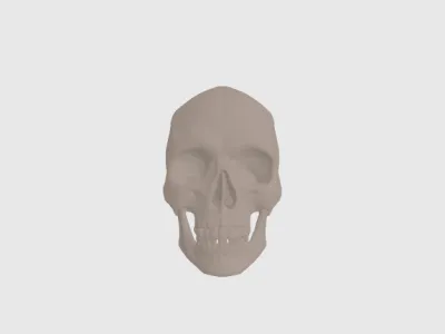 model file image