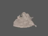 model file image
