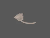 model file image
