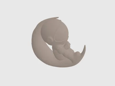 model file image
