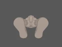 model file image