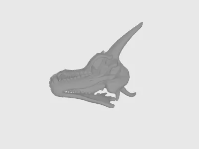 model file image