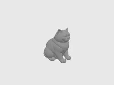 model file image