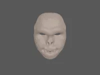 model file image