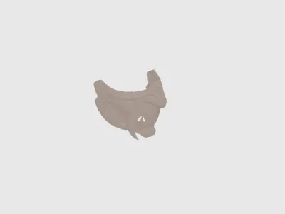 model file image