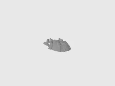 model file image