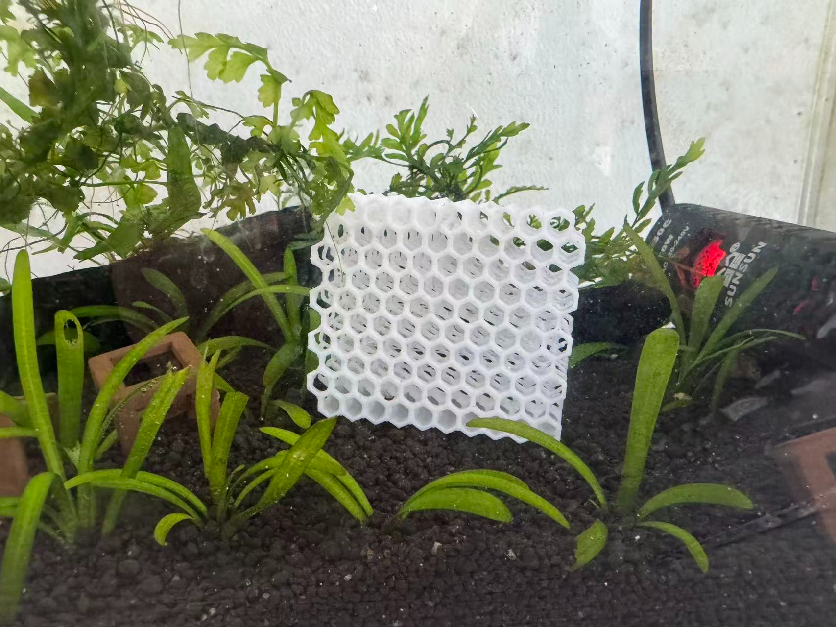 Crystal Nest – Shrimp Habitat Module - Loading | Nexprint: Free 3D ...