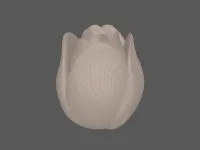 model file image