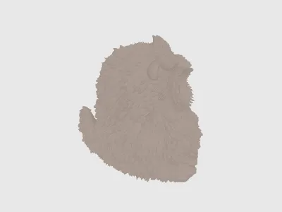 model file image