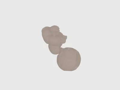 model file image
