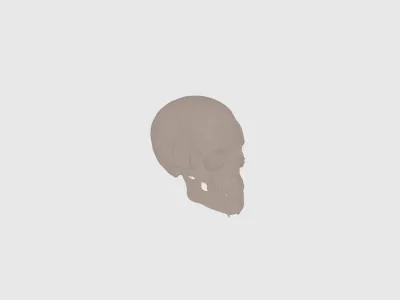model file image