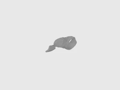 model file image
