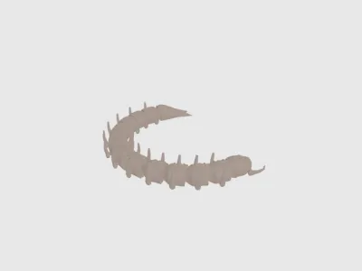 model file image