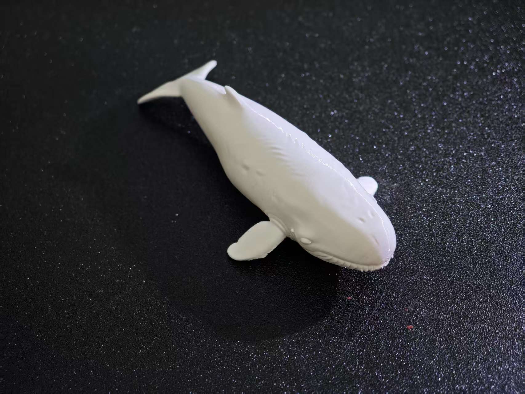 抹香鲸- NextPrint 3D Model | 3Drop