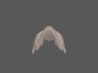 model file image