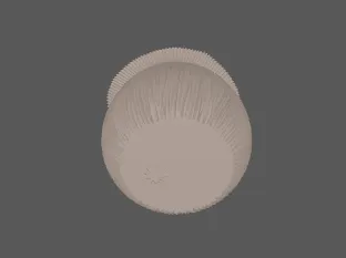 model file image