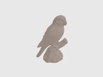 model file image