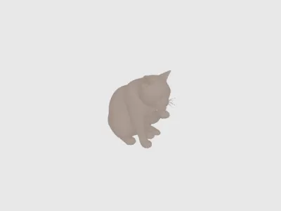 model file image